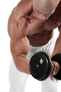 Biceps pregibu u pretklonu