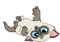 avatar small