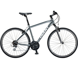Giant Roam 3