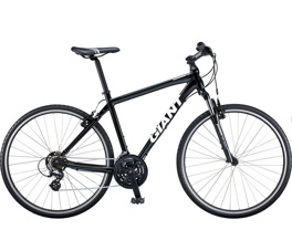Giant Roam 4