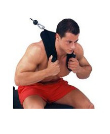 Ab Crunch Harness