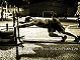 Crossfit trening i oprema