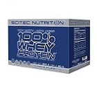 100% Whey Protein Professional - 30 x 30 g
