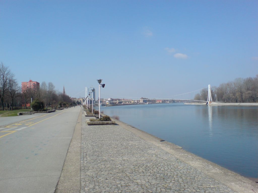 Divote s jutarnjeg kardia