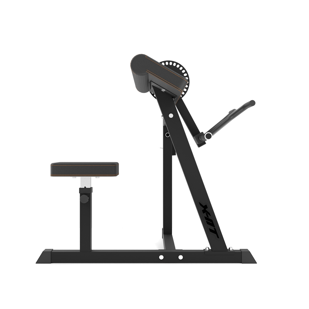 Biceps / Triceps Curl Machine Insportline X-NT BT20