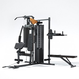 Home Gym Insportline Profi Gym C60