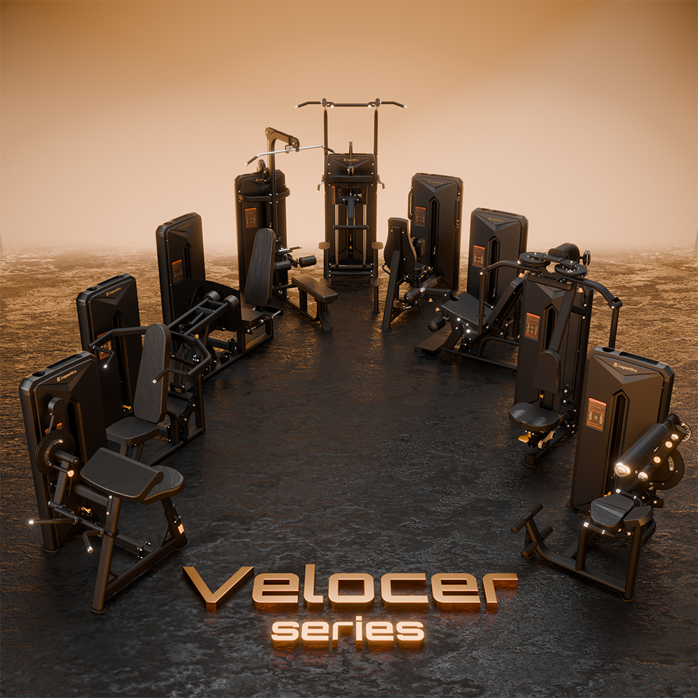 Lat Pulldown / Seated Row Machine Insportline Velocer LPSR105