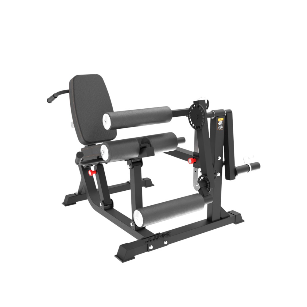 Leg Extension / Curl Machine Insportline X-NT LE20
