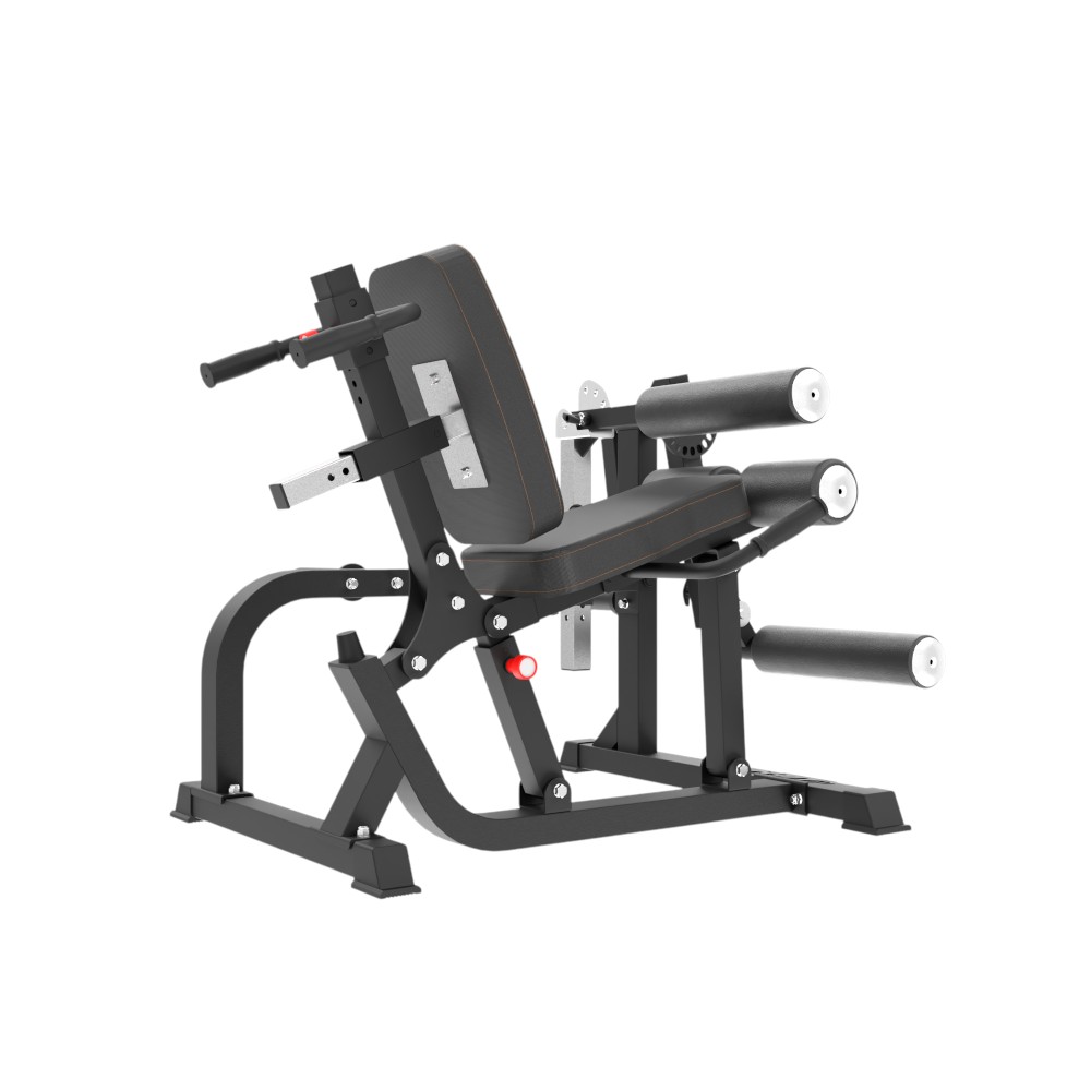 Leg Extension / Curl Machine Insportline X-NT LE20