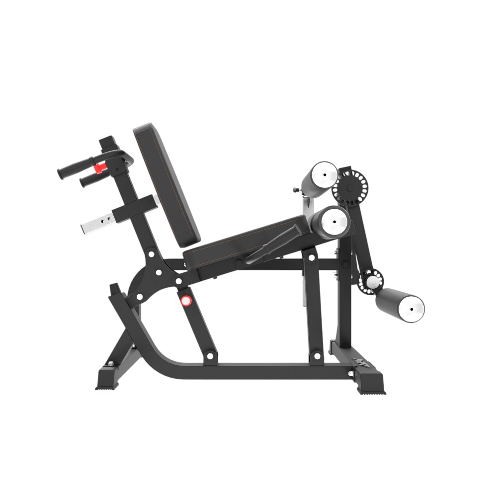Leg Extension / Curl Machine Insportline X-NT LE20