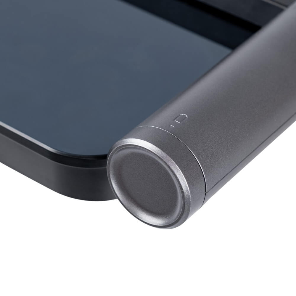 Pametna digitalna vaga Insportline Syncale 200