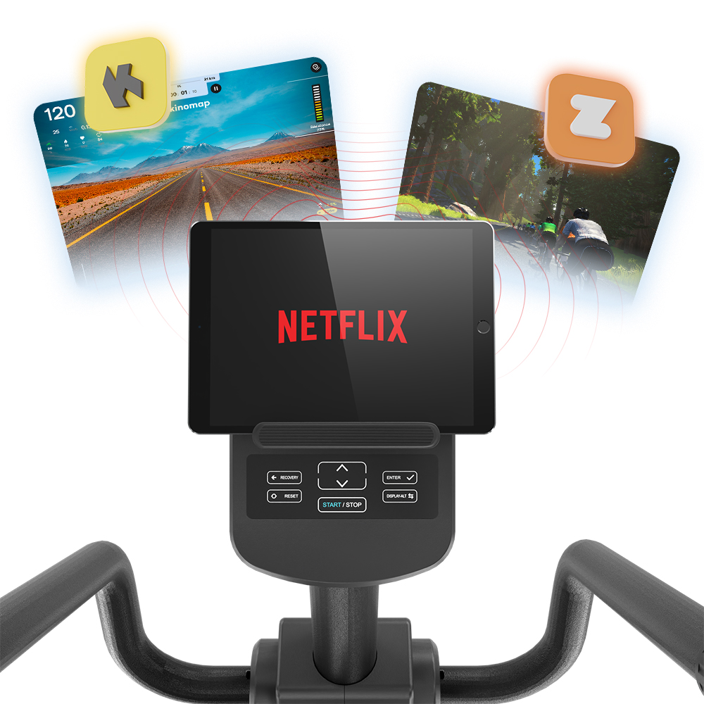 Sobni bicikl s naslonom Insportline ZenSeat 100