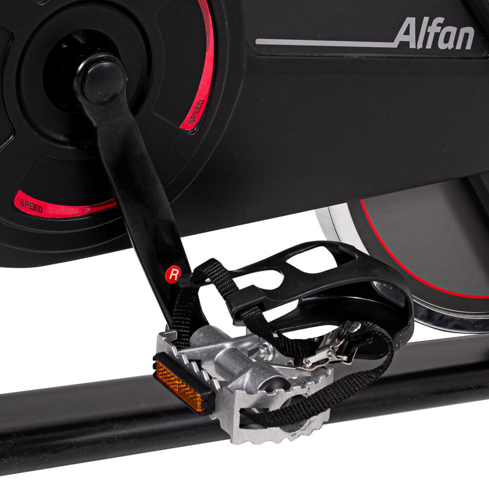 Spinning bike Insportline Alfan