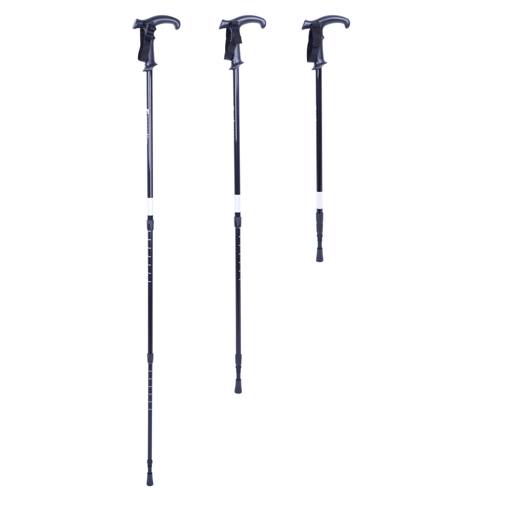 Štap za hodanje Insportline Lomnic