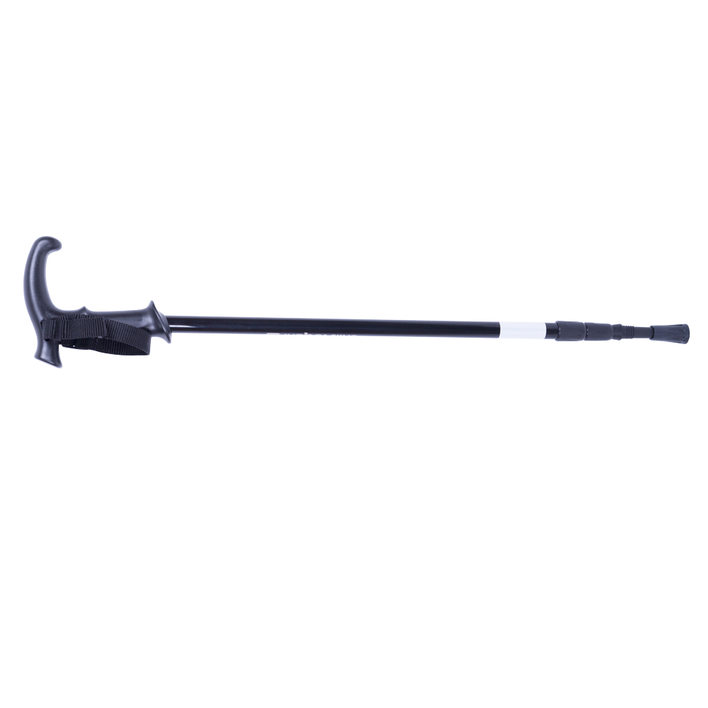 Štap za hodanje Insportline Lomnic