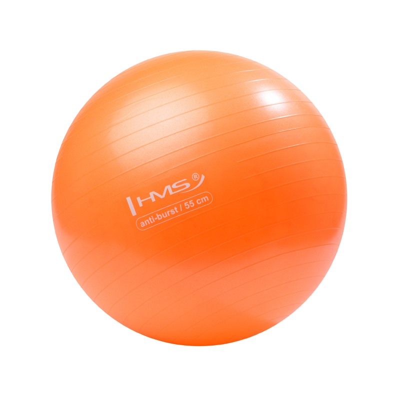 Pilates lopta HMS 55 cm