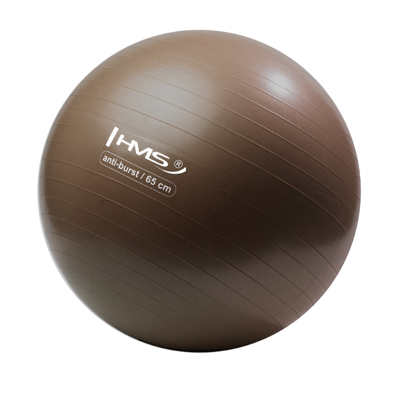 Pilates lopta HMS 65 cm