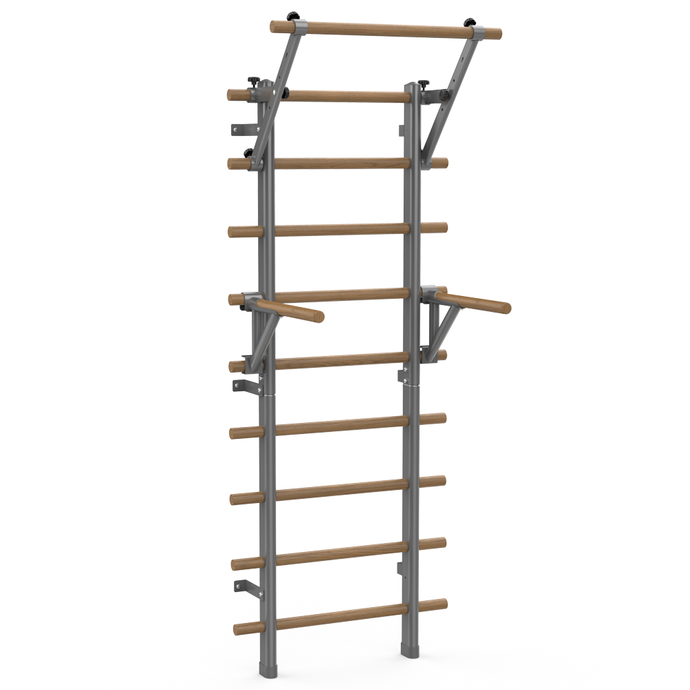 Švedske ljestve Insportline Wootaline 199 x 80 cm s Pull up & Dip šipkama