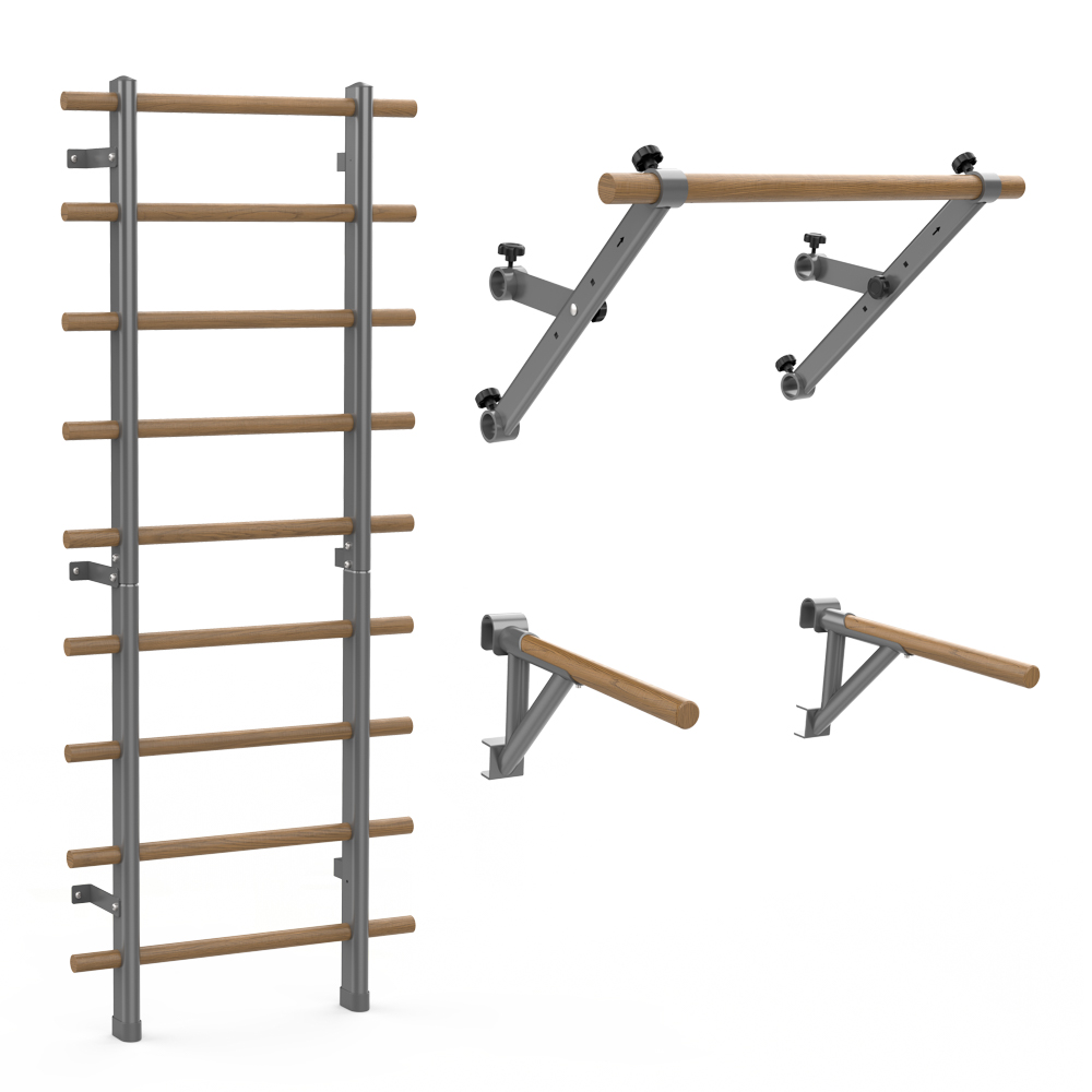 Švedske ljestve Insportline Wootaline 199 x 80 cm s Pull up & Dip šipkama