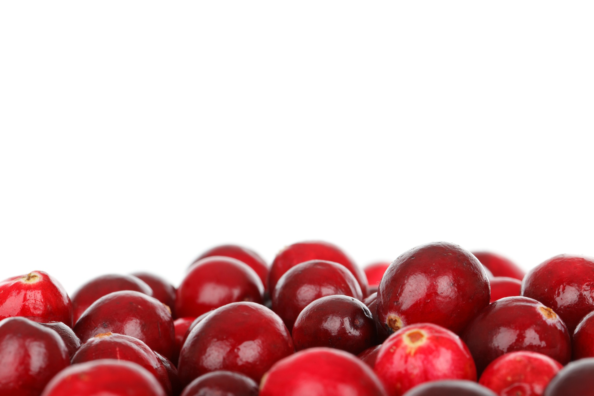 Otkrijte zašto je suho voće dobro za vaše zdravlje - Sirova Hrana - Mihaela Brijak