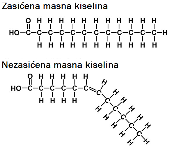 Struktura zasićenih i nezasićenih masti