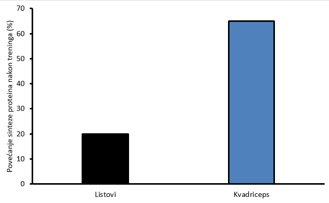 listovi