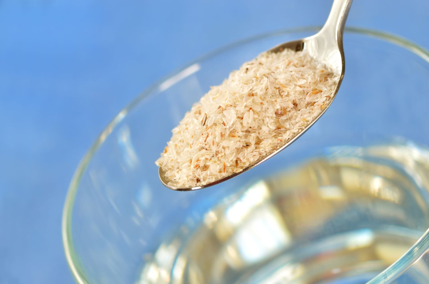 psyllium