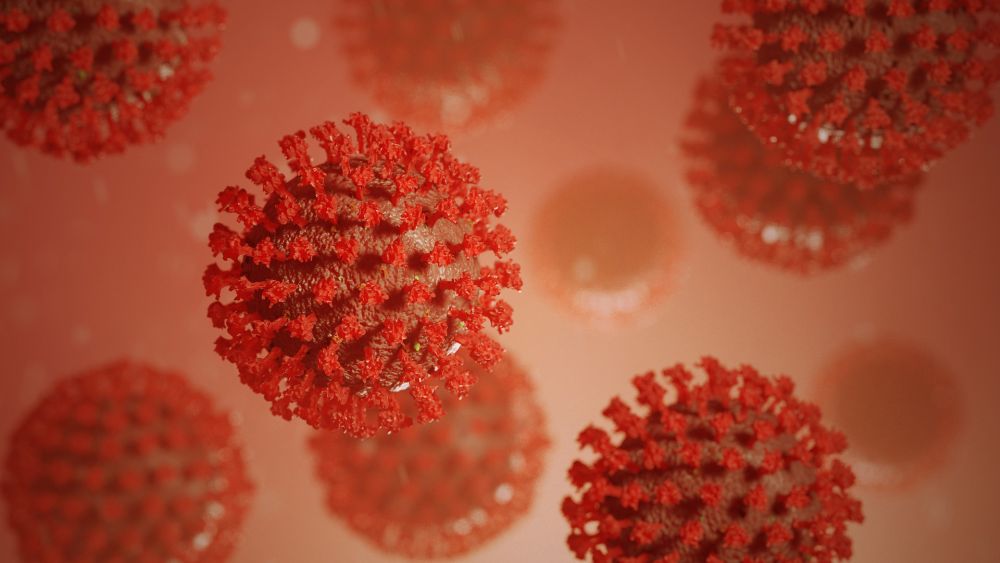 koronavirus