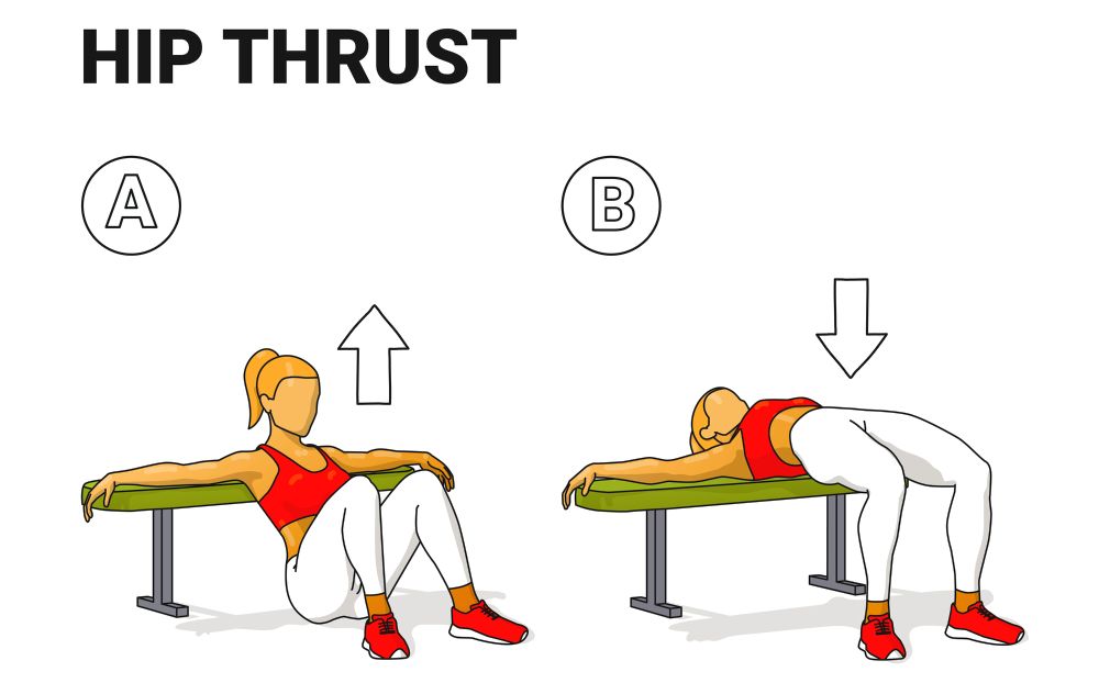 hip thrust