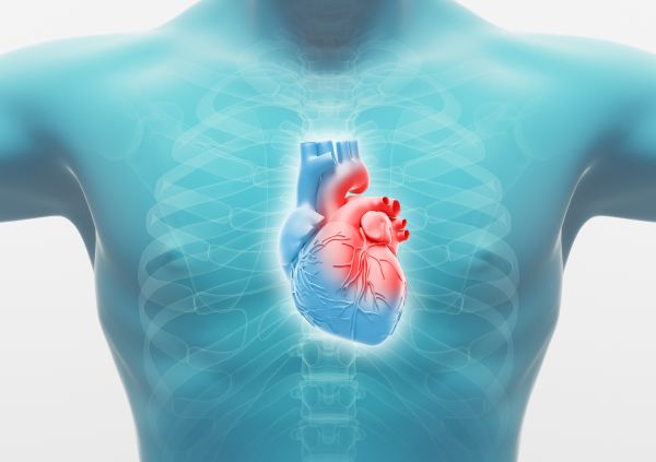 srčani udar u 80 godina prognoza liječenje hipertenzije s tahikardije