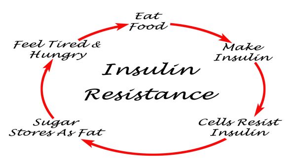 inzulin