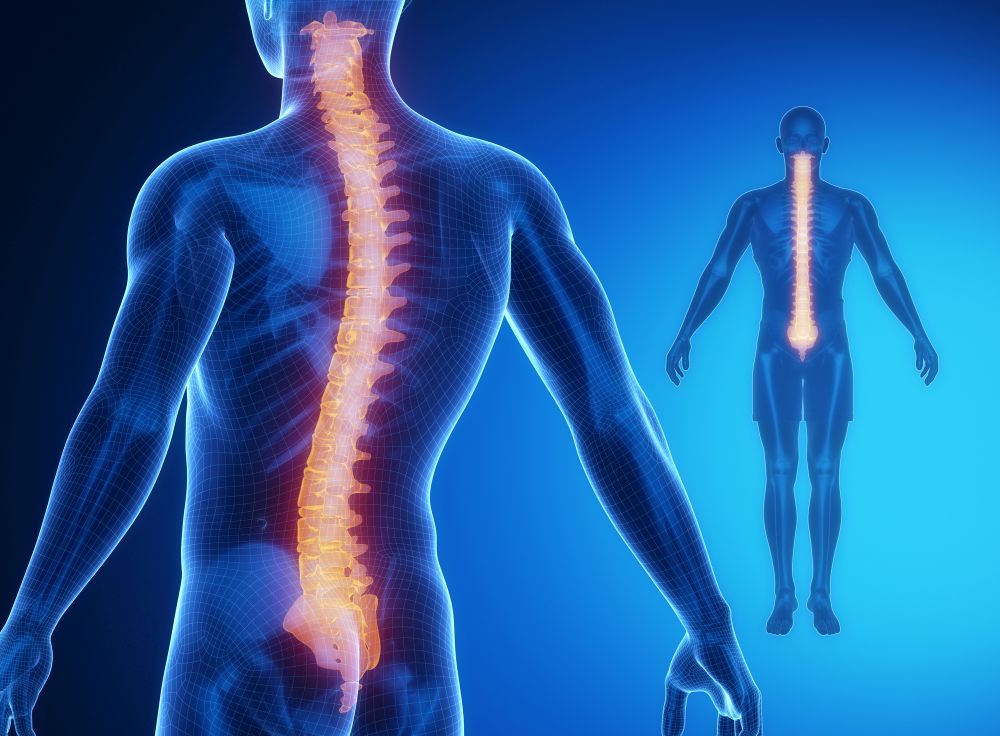 bol u donjem dijelu leđa koji se proteže u zglobu kuka