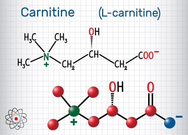 l-carnitine