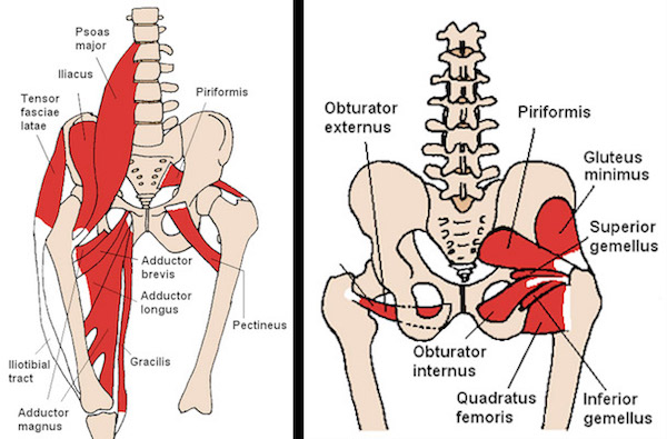 bol u ekstenziji nogu u zglobu kuka liječenje osteoartritisa stroj