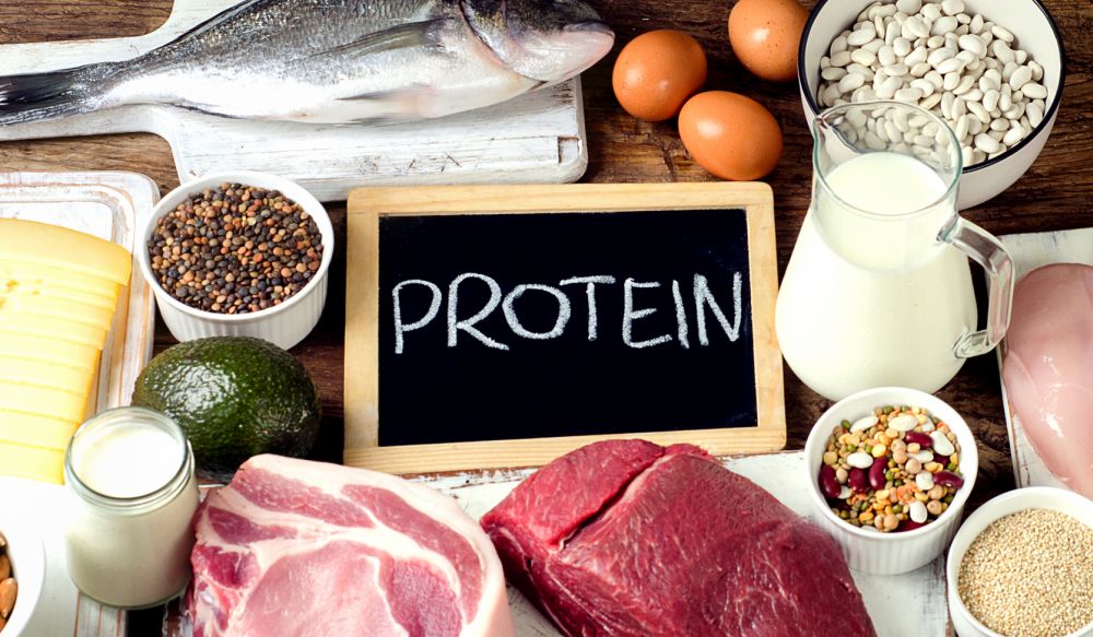 protein