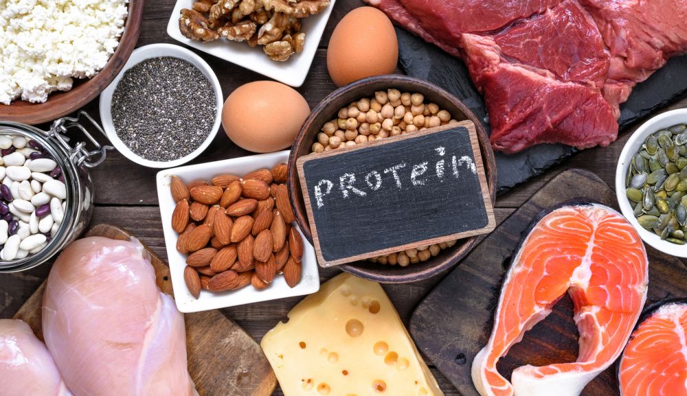 proteini