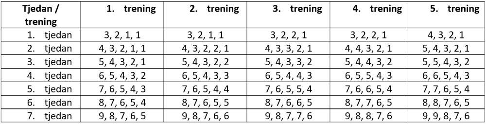 plan treninga