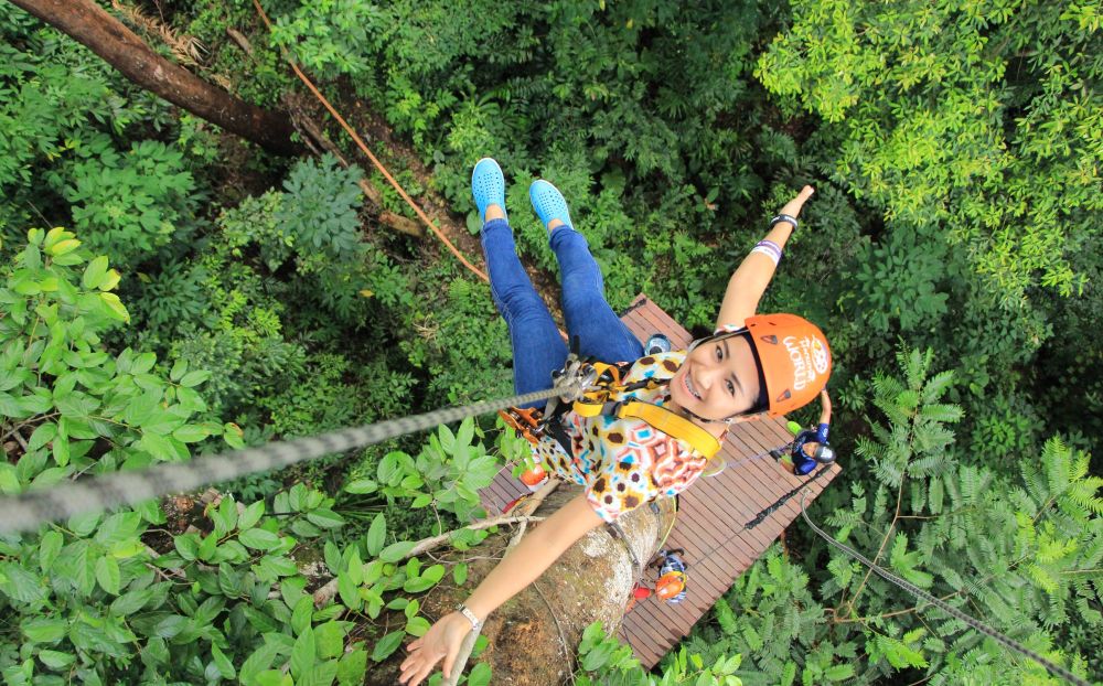 zipline