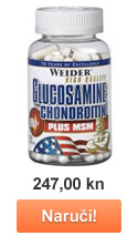 Glucosamine and Chondroitin plus MSM