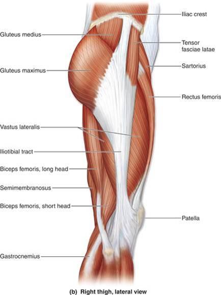 bol u gornjem dijelu koljena