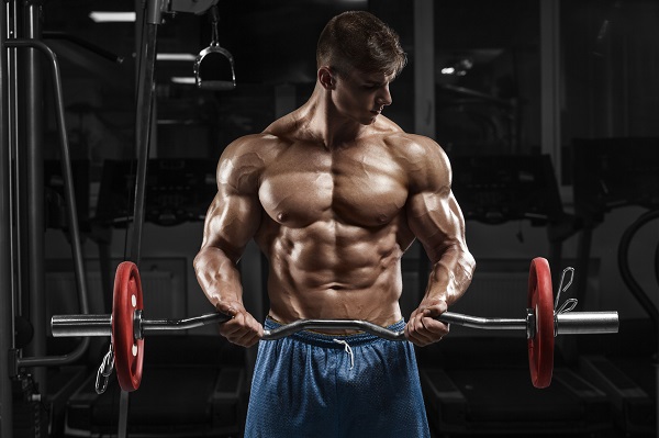 Biceps pregib
