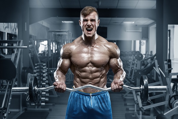 Biceps pregib