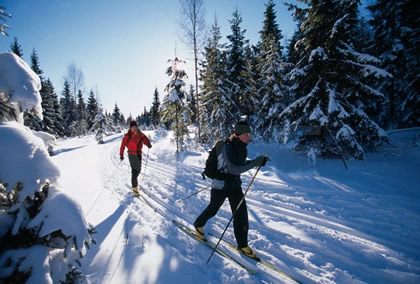 Cross-country (nordijsko) skijanje