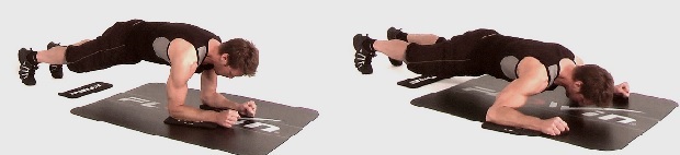 Plank flies