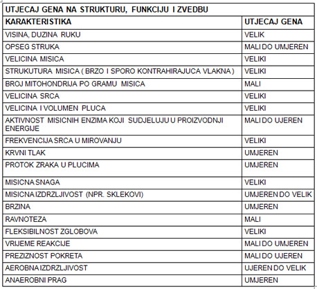 Genetika i sport