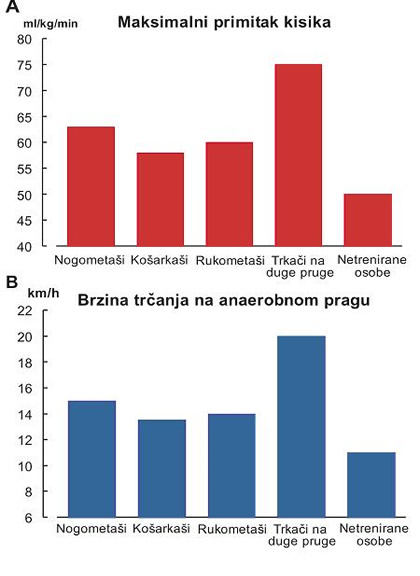 Maksimalni primitak kisika i brzina trčanja na anaerobnom pragu netreniranih osoba i vrhunskih sportaša različitih disciplina
