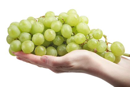 Grožđe