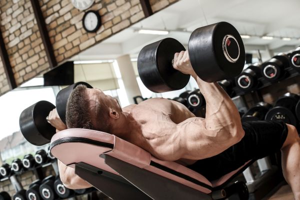 bench press