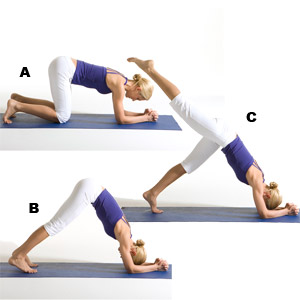 Joga poza - dupin