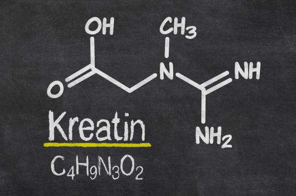 kreatin